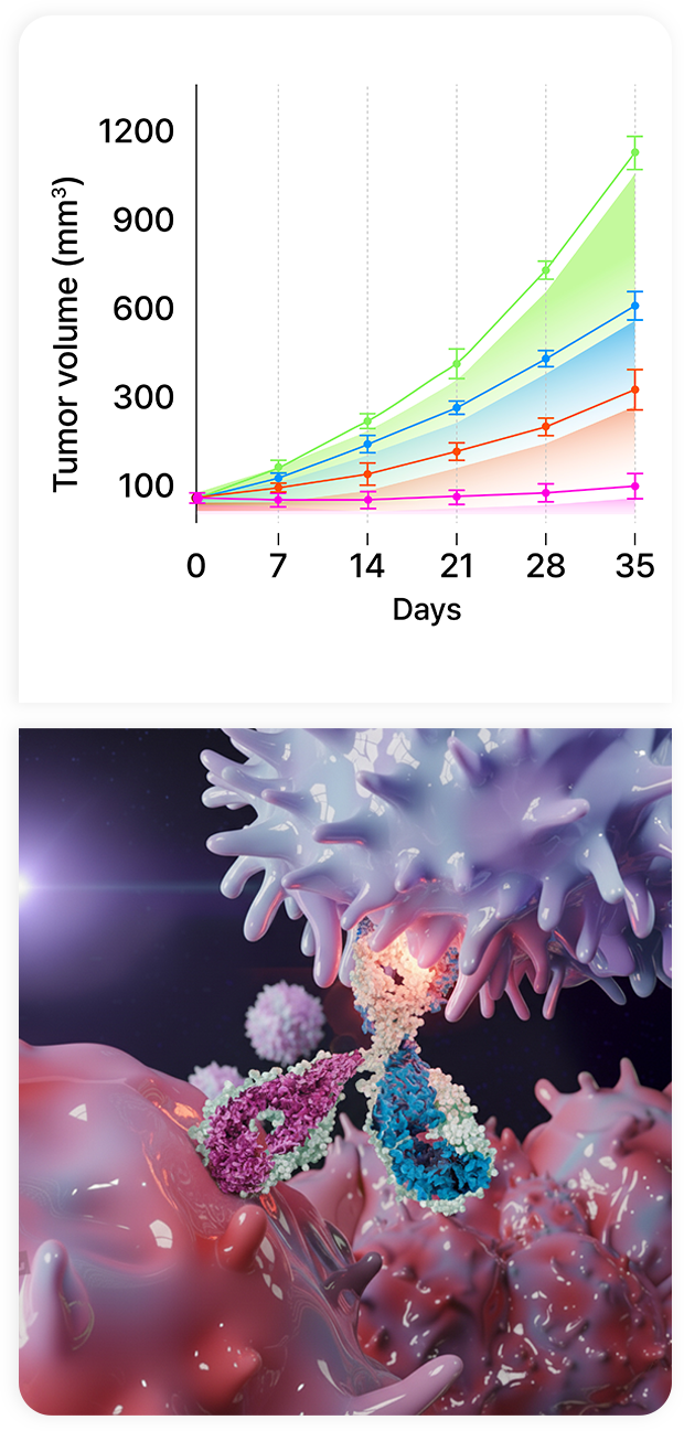 Immune Checkpoint Mechanism
