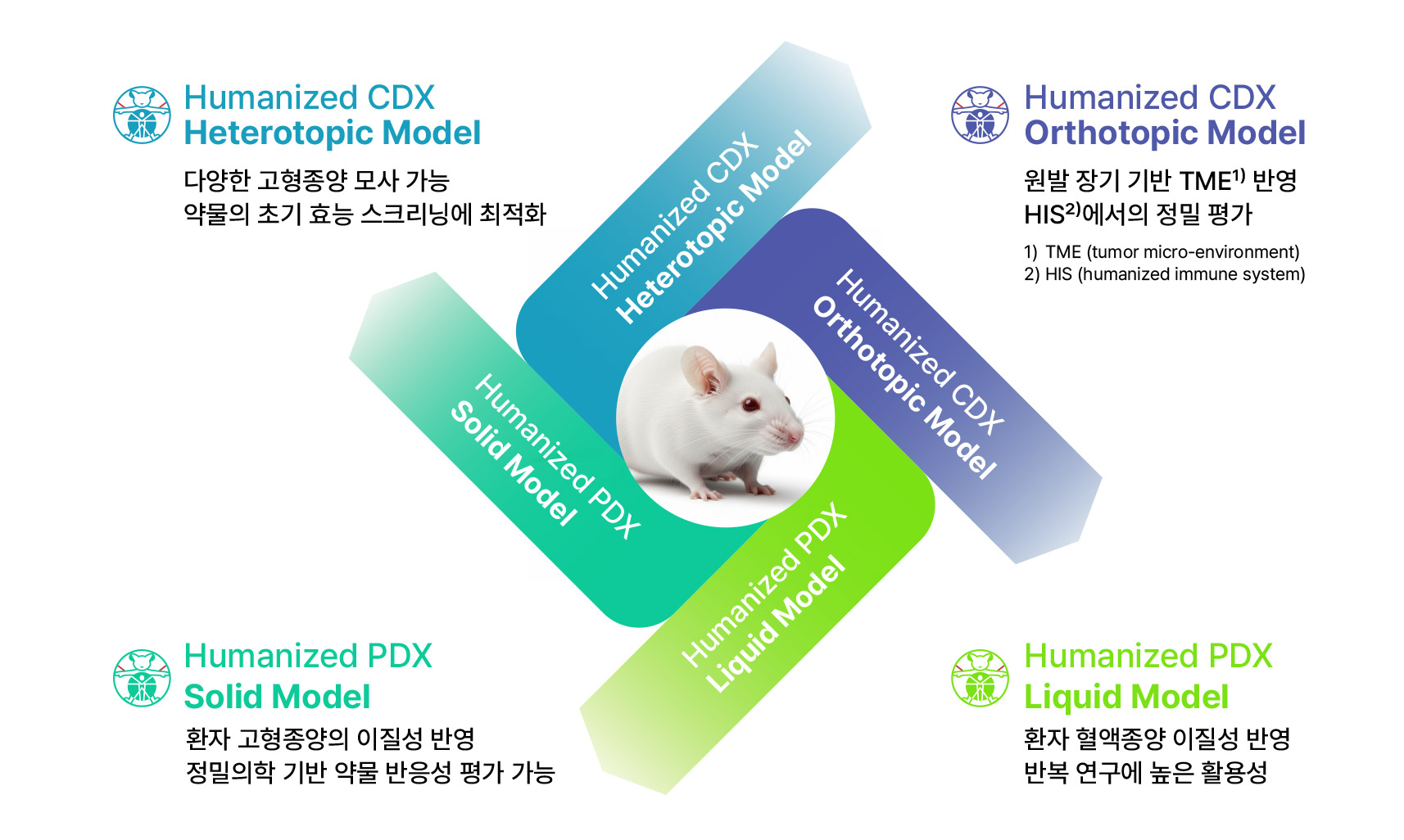 Humanized CDX / PDX Model Platforms Diagram