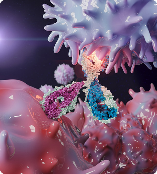 Immune Checkpoint Mechanism